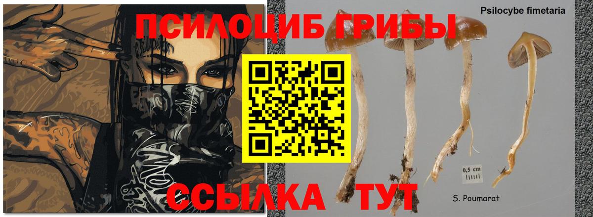 Галлюциногенные грибы ЛСД Новосибирск