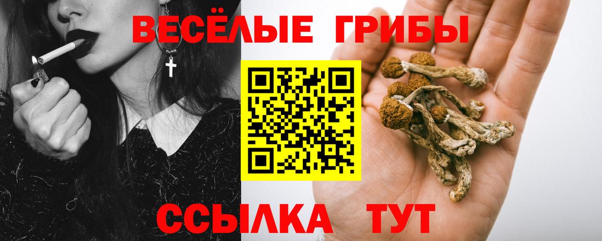 Галлюциногенные грибы Cubensis  Вход с VPN  Новосибирск 
